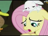 Én Kicsi Pónim Fluttershy a szélvész